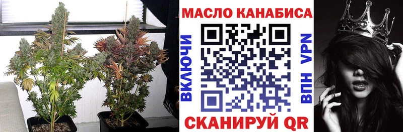ссылка на мегу как войти  Дмитров  ТГК гашишное масло 